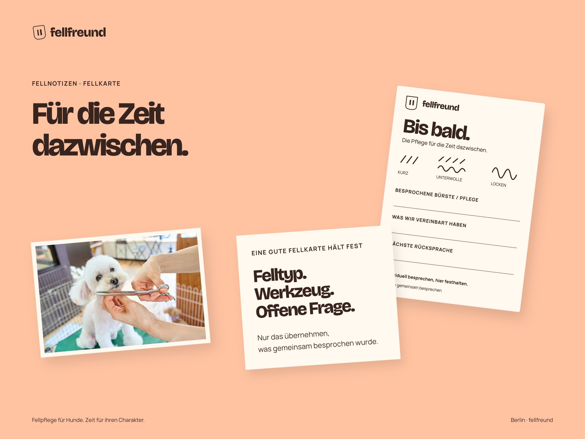 Fellfreund, Die Pflege für dazwischen — Tischkomposition